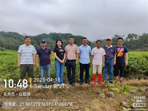 湛江驻塘蓬镇驻镇帮镇扶村工作队赴“沉香之乡”化州市平定镇调研湛江市人民政府门户网站