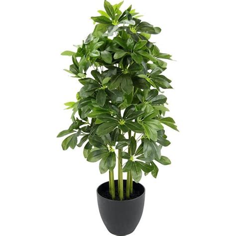 Plante Artificielle Schefflera Dans Un Pot En Plastique Real Touch