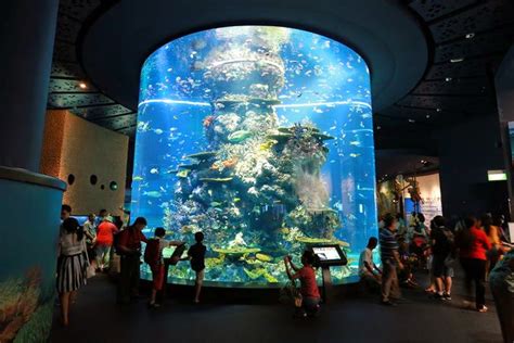 Sea Aquarium The Worlds Largest Aquarium Sentosa Singapore