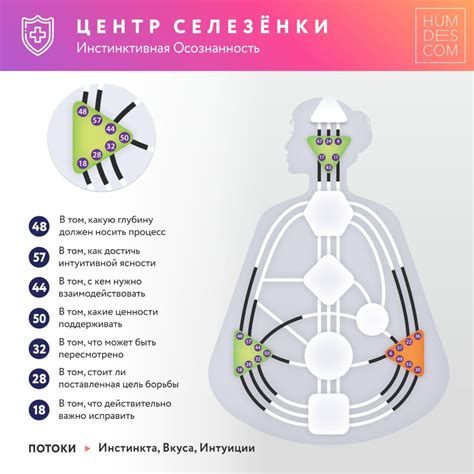 Пин от пользователя Верулентность на доске Дизайн Человека | Дизайн ...
