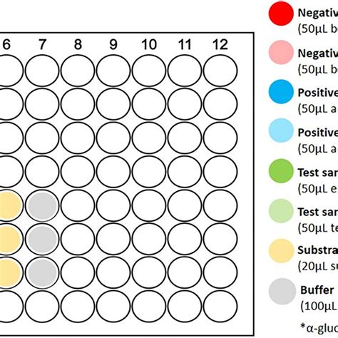 Suggested Plate Layout For Lipase Inhibition Assay Download Scientific Diagram