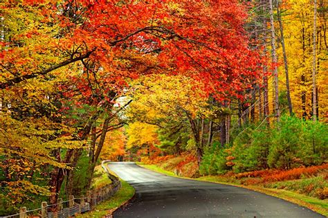 The ultimate New England fall foliage road trip - Lonely Planet