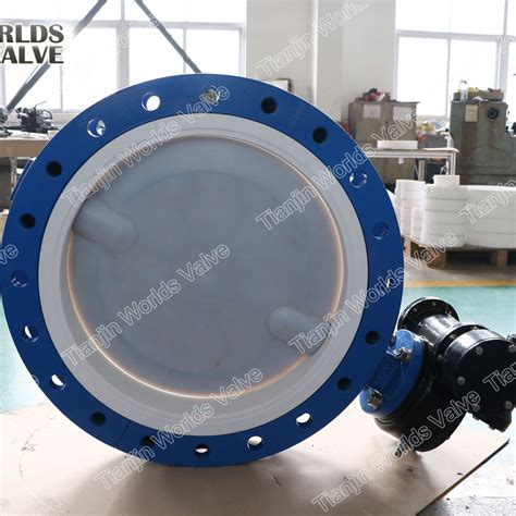 Pfa Fully Lined Wafer Lugged Double Flange Butterfly Valve Cs Wcb Carbon Steel Body China Plug