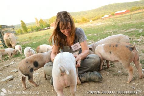 Animals of Farm Sanctuary — Celebrating Farm Sanctuary’s Amazing ...