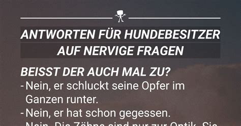 Antworten F R Hundebesitzer Auf Nervige Fragen Webfail Fail Bilder