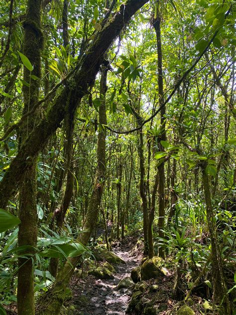 Hot springs archivos - Arenal Trekkers
