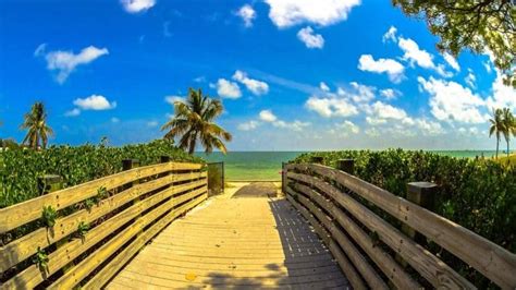 Miami Beach Oceanfront Hotels Updated 2024 - Oceanfront Hotels