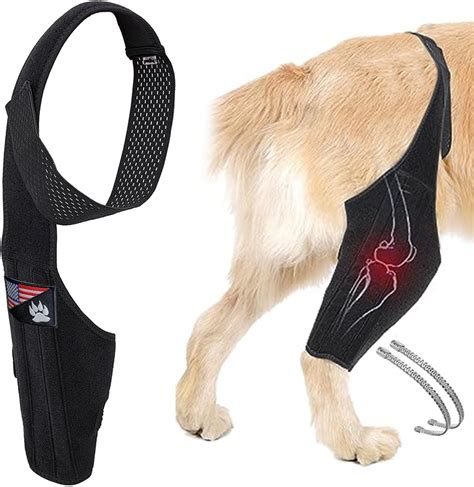 Dog Knee Brace For Torn Acl Hind Leg Dog Knee Stifle