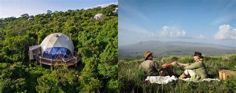 Expert Guide On Ngorongoro Crater In Northern Tanzania Africanmecca
