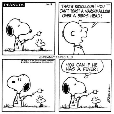 Pin By Darla Mezei On Snoopy And The Peanuts Gang Snoopy Comics Snoopy Cartoon Snoopy Funny