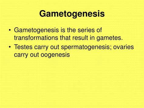 Ppt The Reproductive Process Powerpoint Presentation Free Download Id 9230482