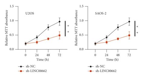 Linc Knockdown Inhibits The Malignant Phenotypes Of Os Cells A