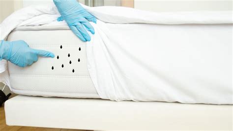 How to dispose of a mattress with bed bugs – 3 vital steps | Tom's Guide