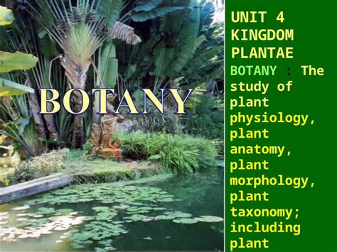 Ppt Unit Kingdom Plantae Botany The Study Of Plant Physiology