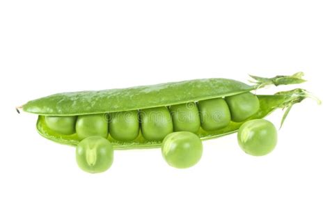 Fresh Green Peas Isolated On White Background Stock Photo Image Of