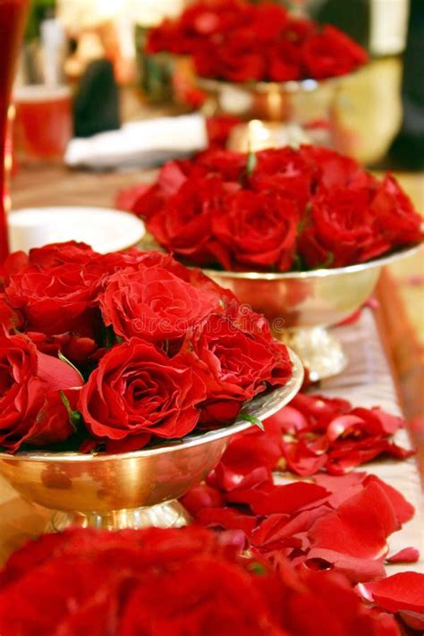 Red rose arrangements stock image. Image of arranged, creative - 856719