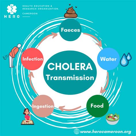 Cholera Transmission