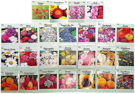 25 Flower Seed Packets Including 10 Varieties May Include Forget Me