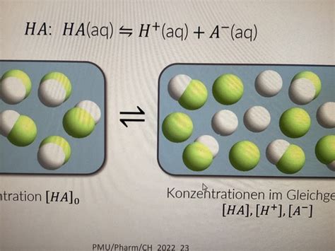 S Ure Base Reaktion Karteikarten Quizlet