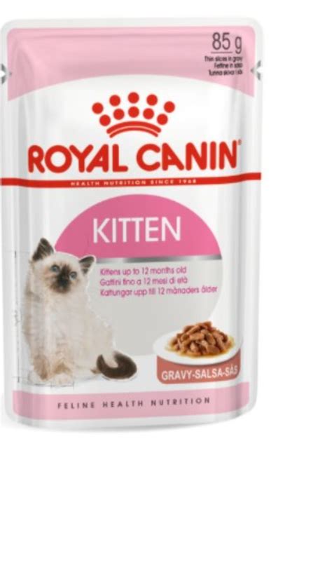 Royal canin kitten wet food - Family Pets Food