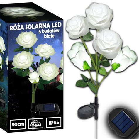 Lampa Solarna Ogrodowa Wbijana Led R A Cm Lampki Solarne Sztuczne