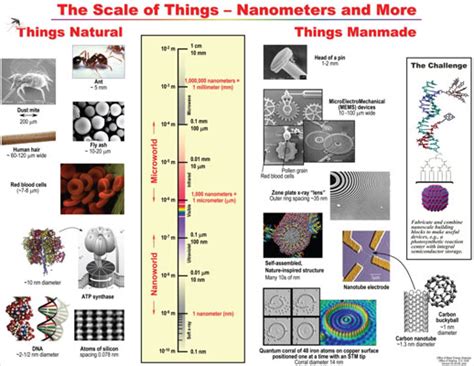 The Evolution Of Nanotechnology Dummies