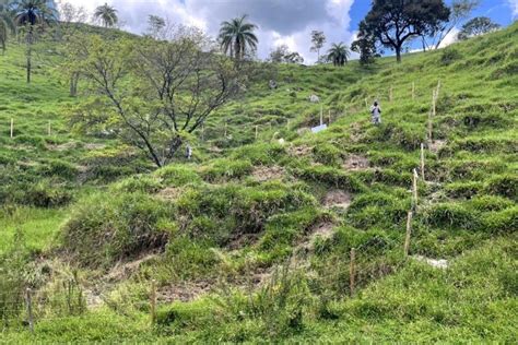 Guas De Par De Minas Cria Mais Uma Rea De Preserva O No Ribeir O