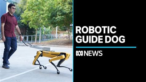 Student Makes Robotic Guide Dog Abc News