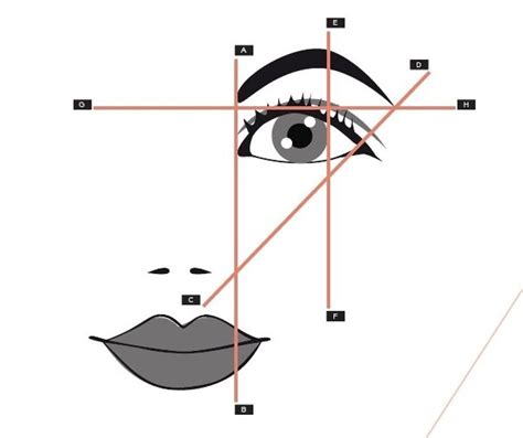 Qué Forma de Cejas usar Según tu Tipo de Rostro Maquillar cejas