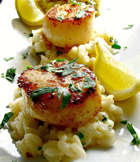 Lemon Garlic Butter Scallops A Gouda Life