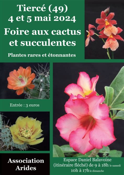 Foire Aux Cactus Plantes Rares De Tierc Tierc Maine