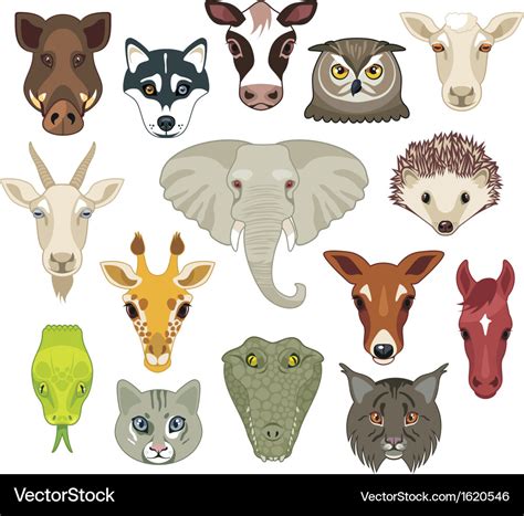 Animal heads set Royalty Free Vector Image - VectorStock