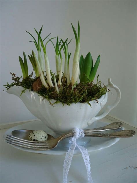 Pin Van Pinner Op Spring Bulbs Lente Decoratie Knutselen