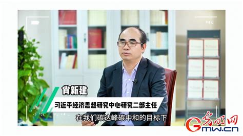 肖新建：我国新能源产业未来发展前景广大 光明网