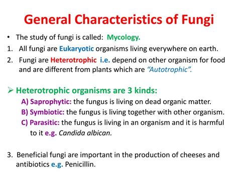 Describe The General Characteristics Of Fungi Heath Has Miller