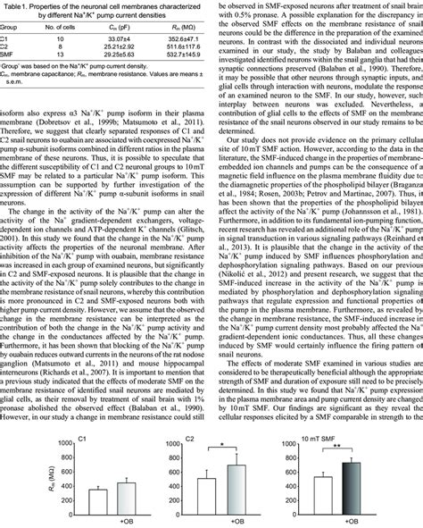 Membrane Resistance Of C And C Control Neurons And Neurons Exposed To