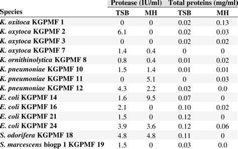 protease activity   total amount  protein