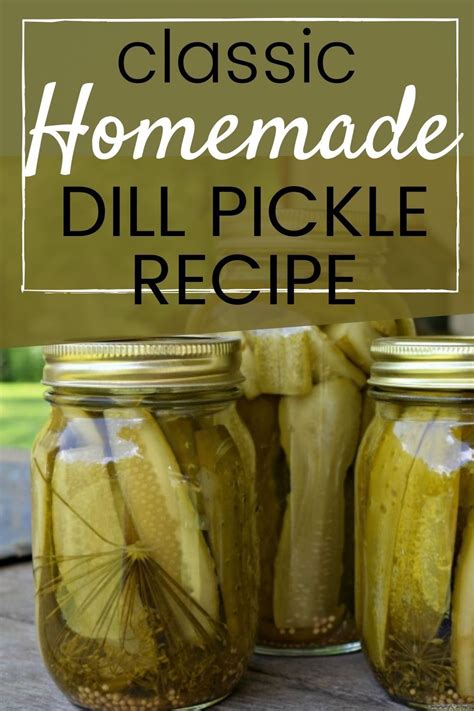 Dill Pickles Homemade Artofit