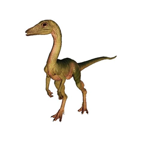 Compsognathus Dinoerdk