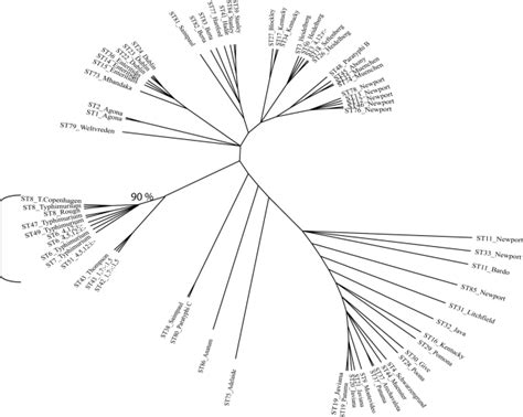 Salmonella Enterica Serotype I An Emerging Salmonella