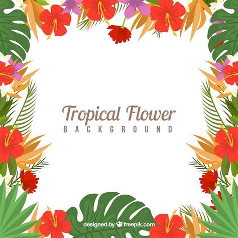 Fondo Con Marco De Flores Tropicales Vector Gratis