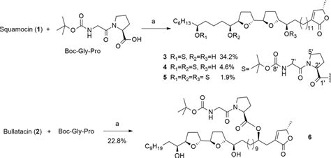 Synthesis Of Compounds 3 6 Reagents And Conditions A Dcc Dmap Download Scientific Diagram