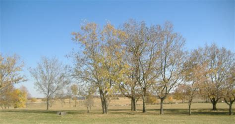 The Underground Railroad A Historic America Road The History List