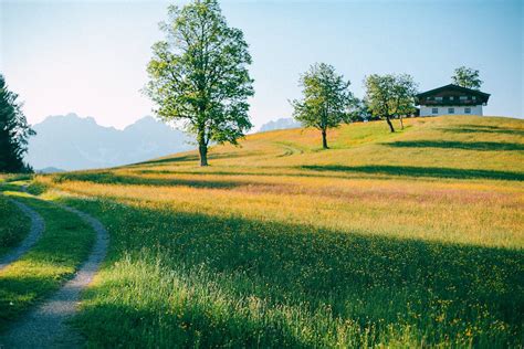 1,000+ Best Hillside Photos · 100% Free Download · Pexels Stock Photos