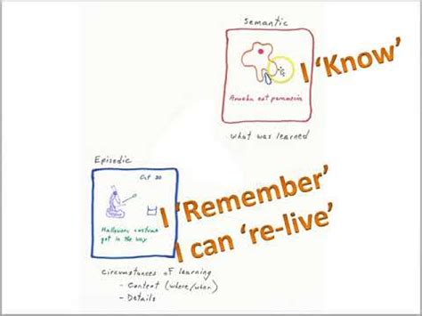 Episodic memory: definition and associated parts of the brain ...