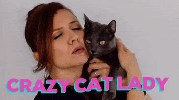 Crazy Cat Lady GIFs - Find & Share on GIPHY