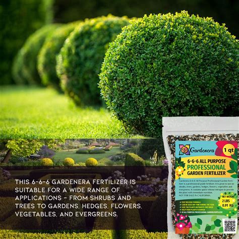 🌿 Premium All Purpose Garden Fertilizer 6 6 6 By Gardenera Nurture Your Plants With Balanced