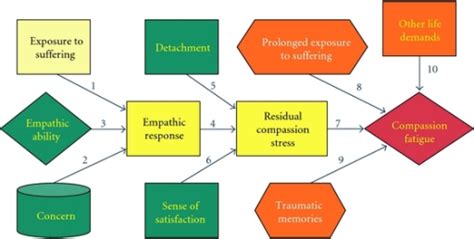 Compassion Fatigue Process [23] Open I