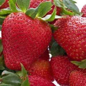 ремонтантные сорта клубники | Strawberry plants, Fruit plants, Fruit