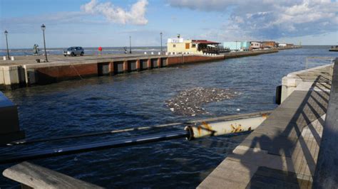 Cesenatico Dragaggio Del Porto Rinviato A Settembre